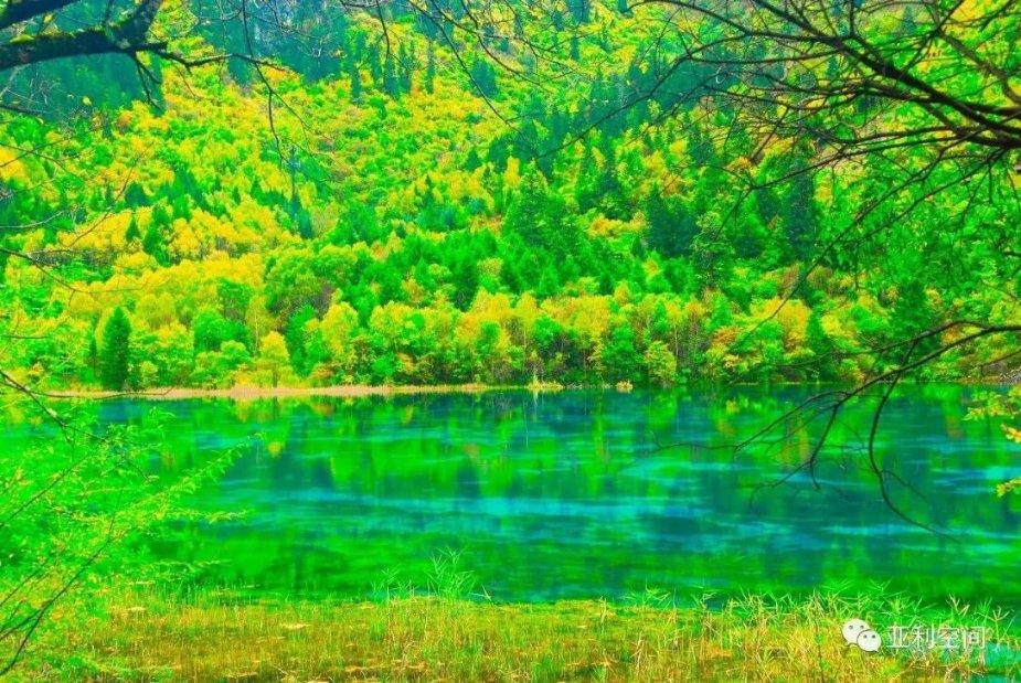 想离婚可是孩子快要高考了怎么办？游戏画面