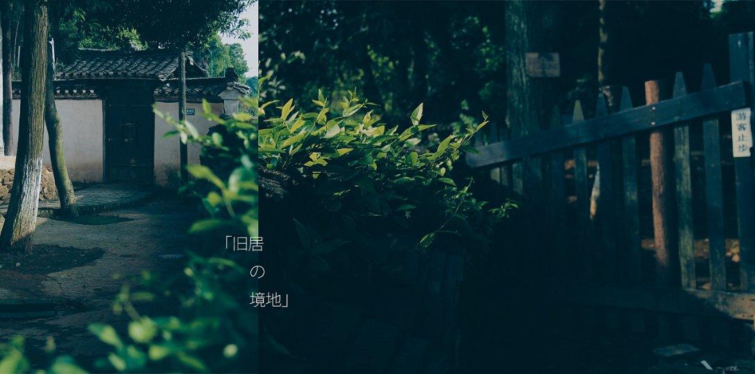 喜报 | 2023超级品牌大会,成博出品获颁“年度Z世代focus品牌”