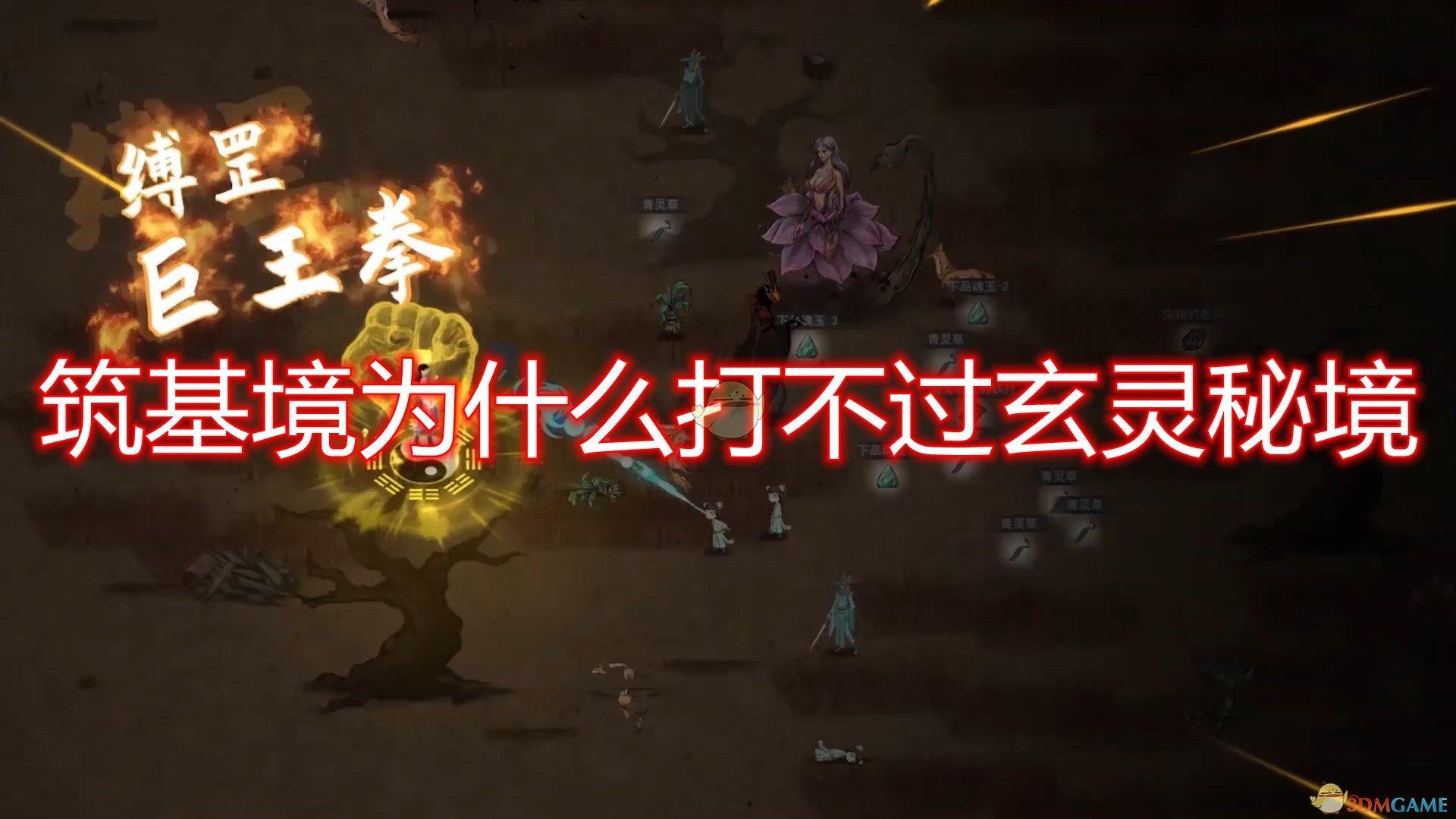 拯救蝙蝠家族