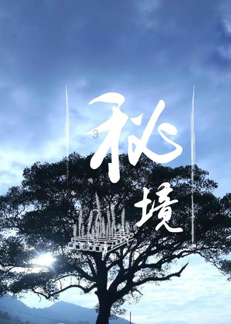 河北滦州：寒冬时节鲜花俏