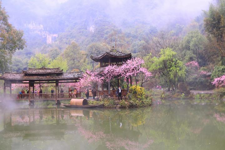 逃离仿真森林