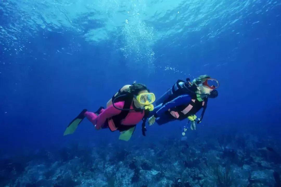 在春秋后期，一位国君放了养死自己最爱的马夫，成就了他的仁政