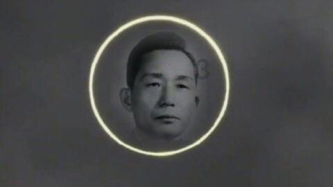 逃离魔法之森
