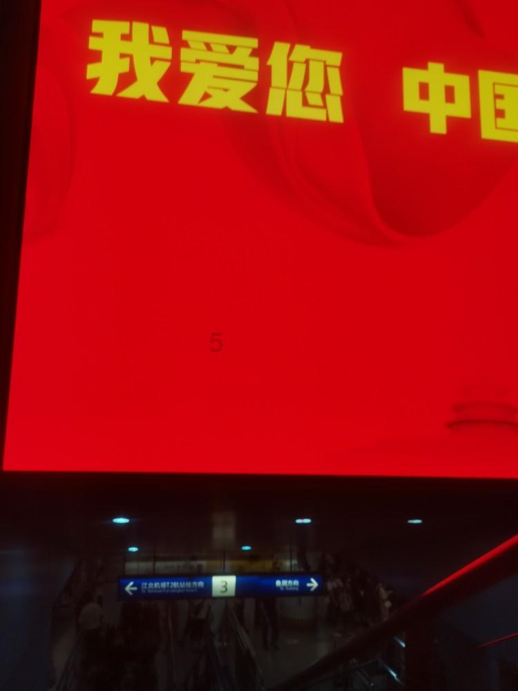 口袋森林世界杯防守战