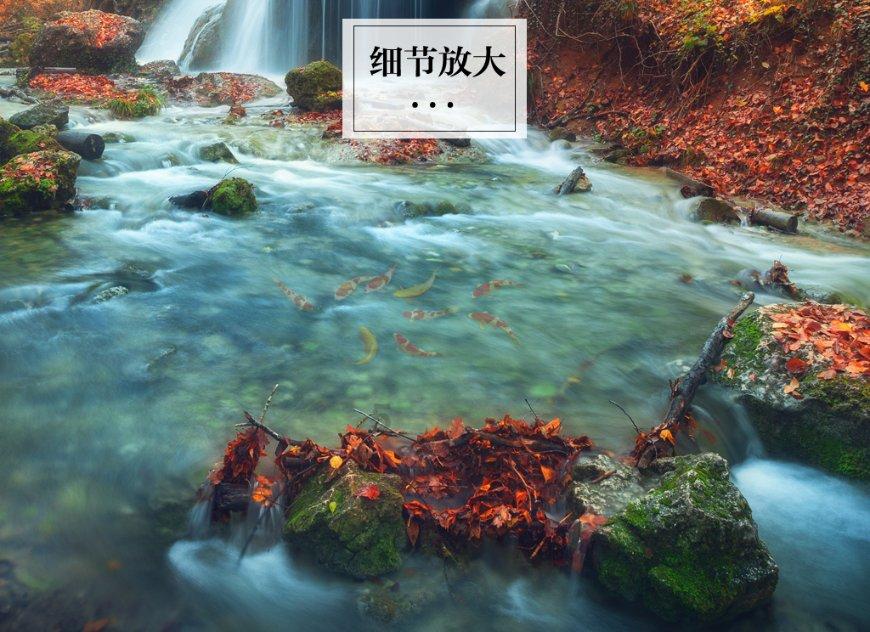 对于房中的丫头秋桐，贾赦早已收用过，为何还赏给儿子贾琏为妾？