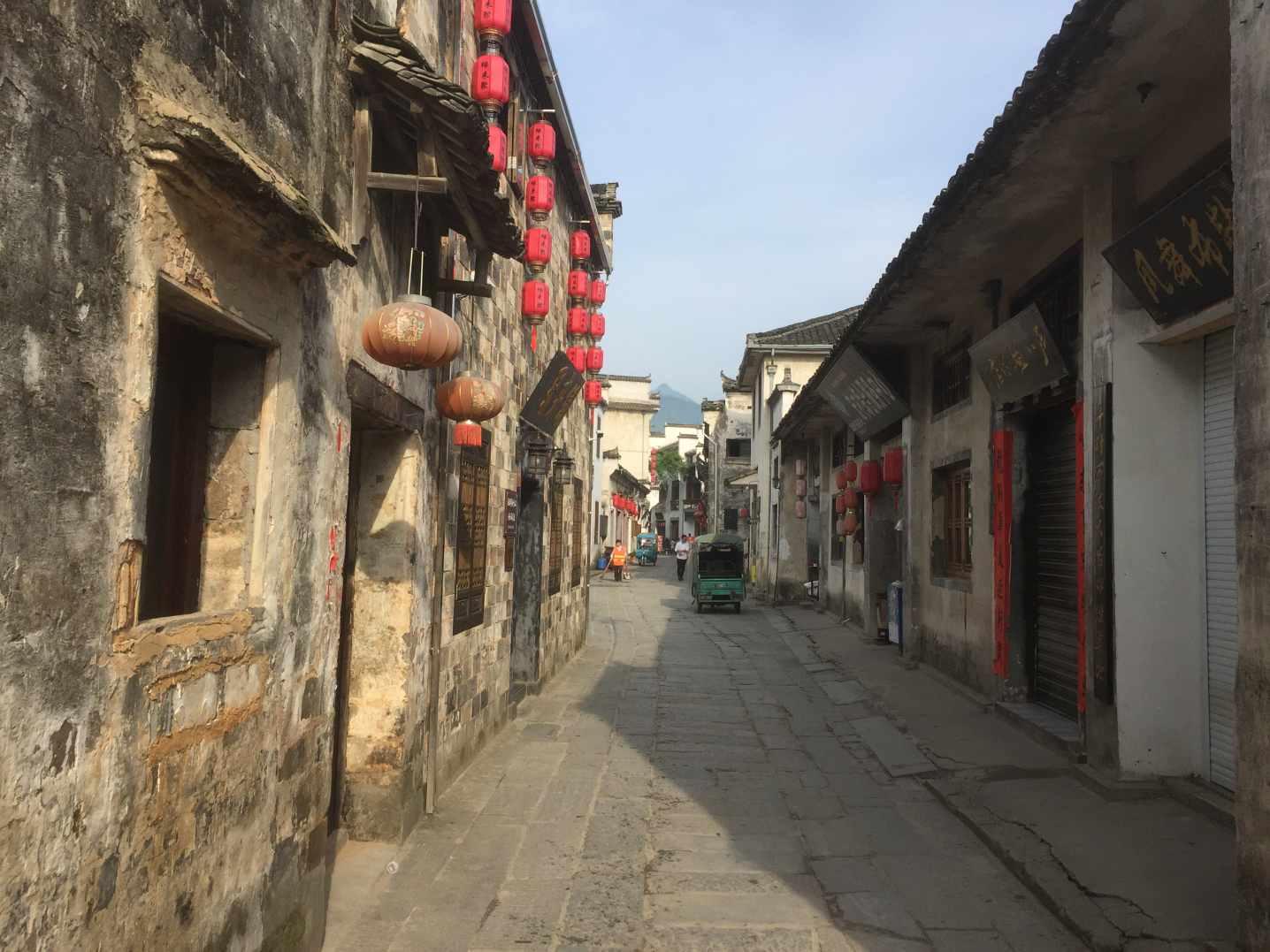 加大支持力度 提升安化县笋竹产业发展成色