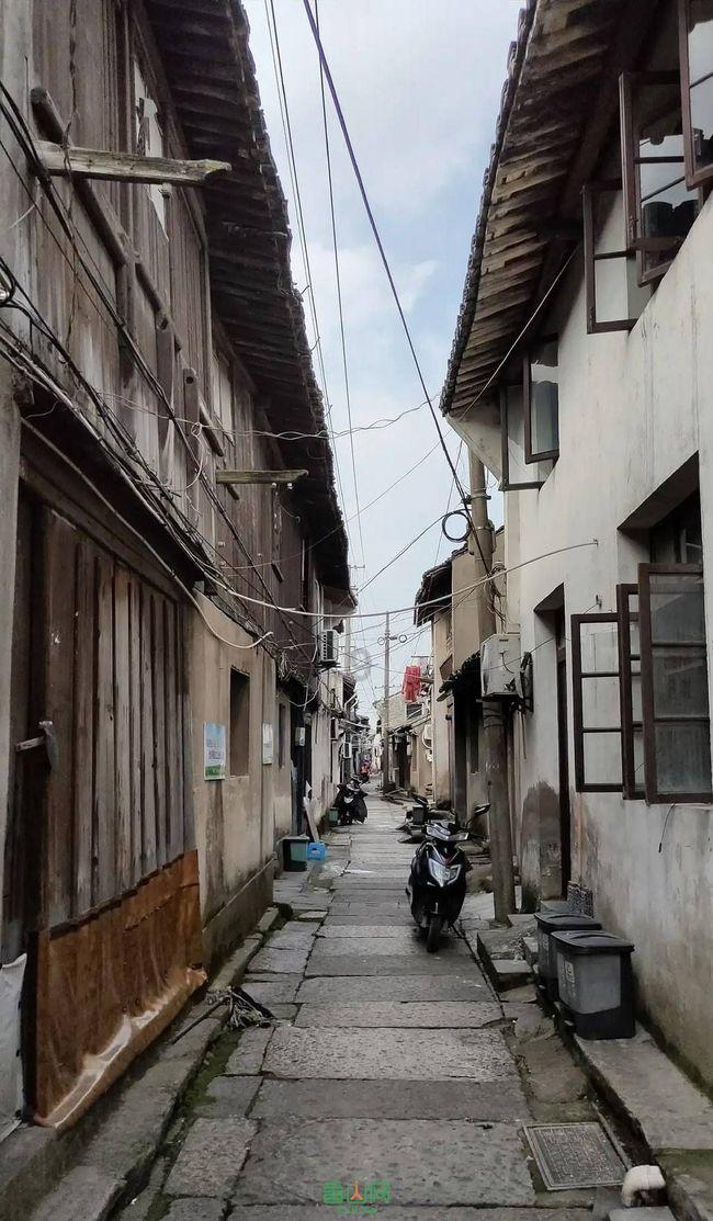 三十中彩是什么生肖游戏画面